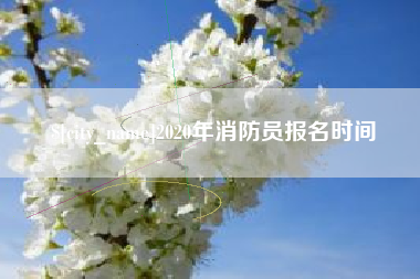 平阳2020年消防员报名时间