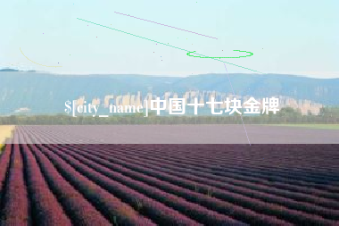 平阳中国十七块金牌