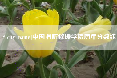 平阳中国消防救援学院历年分数线