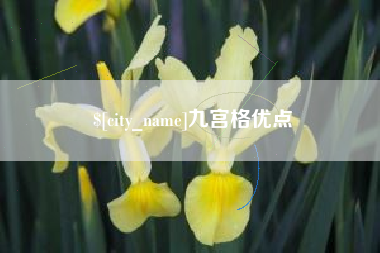 平阳九宫格优点