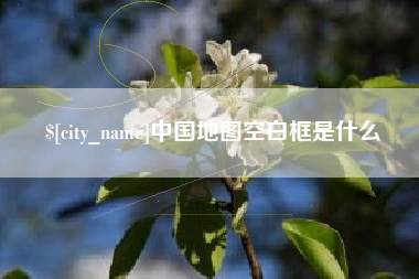 平阳中国地图空白框是什么