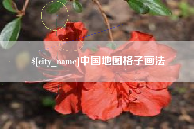 平阳中国地图格子画法