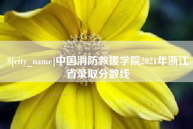平阳中国消防救援学院2021年浙江省录取分数线