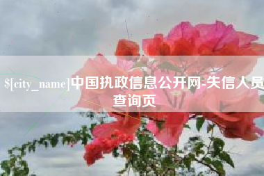 平阳中国执政信息公开网-失信人员查询页
