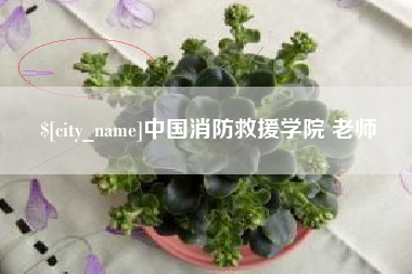 平阳中国消防救援学院 老师