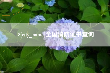 平阳全国消防证书查询