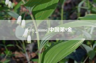 平阳中国第9金