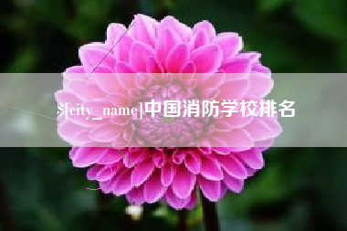 平阳中国消防学校排名