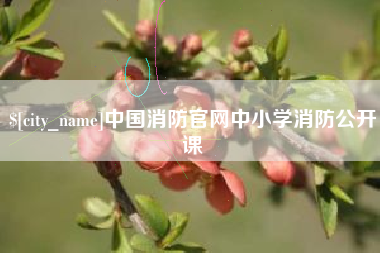 平阳中国消防官网中小学消防公开课