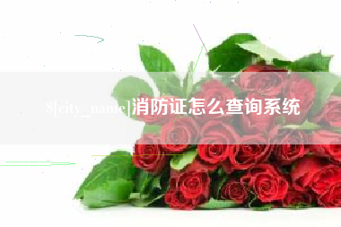 平阳消防证怎么查询系统