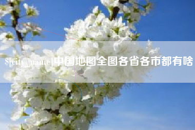 平阳中国地图全图各省各市都有啥