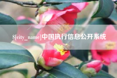 平阳中国执行信息公开系统
