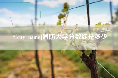 平阳消防大学分数线是多少