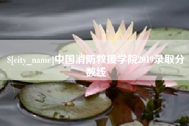 平阳中国消防救援学院2019录取分数线