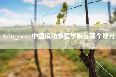 平阳中国消防救援学院在那个地方