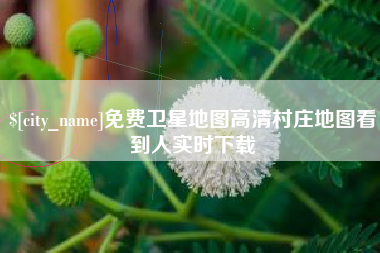 平阳免费卫星地图高清村庄地图看到人实时下载