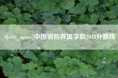平阳中国消防救援学院2018分数线