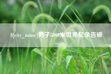 平阳男子5000米世界纪录告破