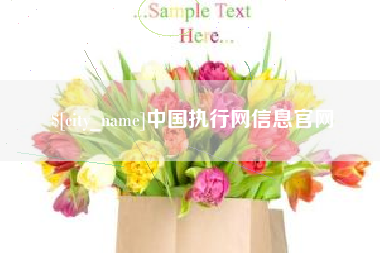 平阳中国执行网信息官网