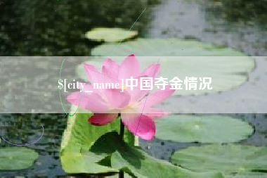 平阳中国夺金情况