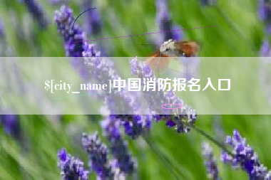 平阳中国消防报名入口