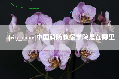 平阳中国消防救援学院是在哪里