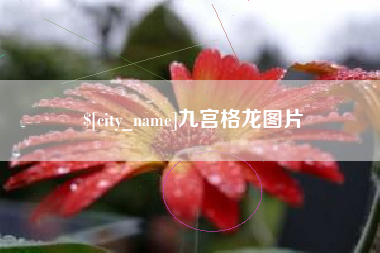 平阳九宫格龙图片