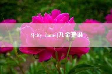 平阳九金是谁