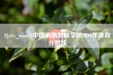 平阳中国消防救援学院2019年录取分数线