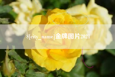 平阳金牌图片2021