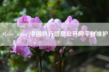 平阳中国执行信息公开网平台维护