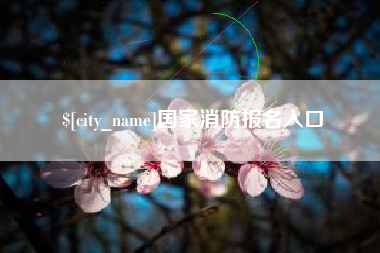 平阳国家消防报名入口