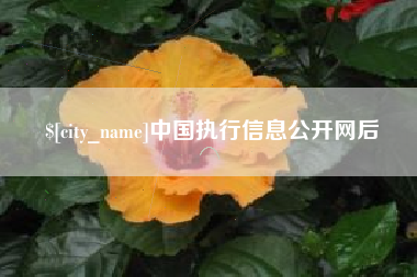 平阳中国执行信息公开网后