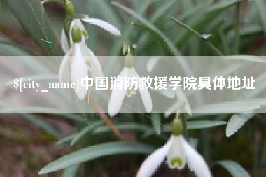 平阳中国消防救援学院具体地址