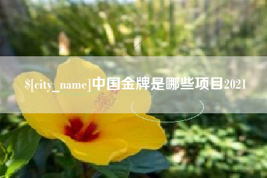 平阳中国金牌是哪些项目2021