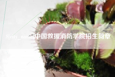 平阳中国救援消防学院招生简章
