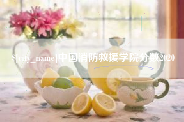平阳中国消防救援学院分数2020