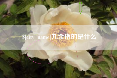 平阳九金指的是什么