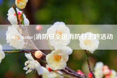 平阳消防日全国消防日主题活动
