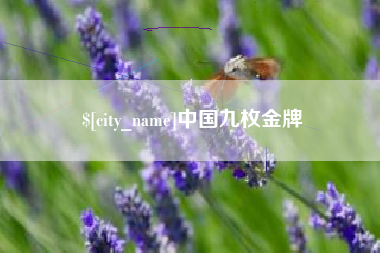 平阳中国九枚金牌