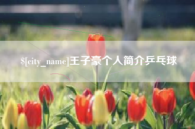 平阳王子豪个人简介乒乓球