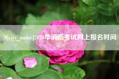 平阳2020年消防考试网上报名时间