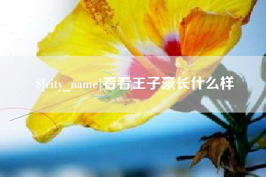 平阳看看王子豪长什么样