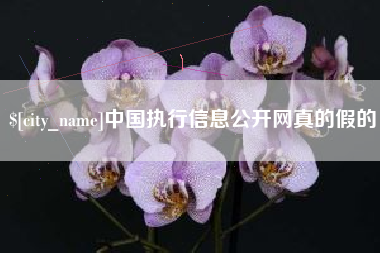 平阳中国执行信息公开网真的假的