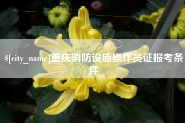 平阳重庆消防设施操作员证报考条件