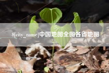 平阳中国地图全图各省地图