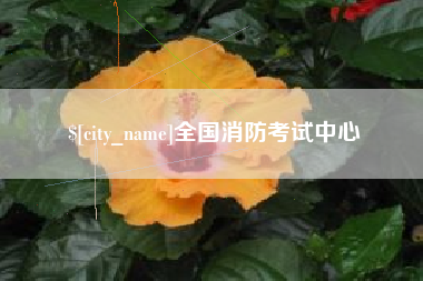 平阳全国消防考试中心
