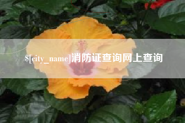 平阳消防证查询网上查询