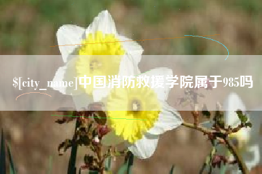 平阳中国消防救援学院属于985吗
