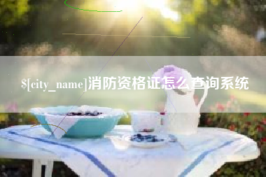 平阳消防资格证怎么查询系统